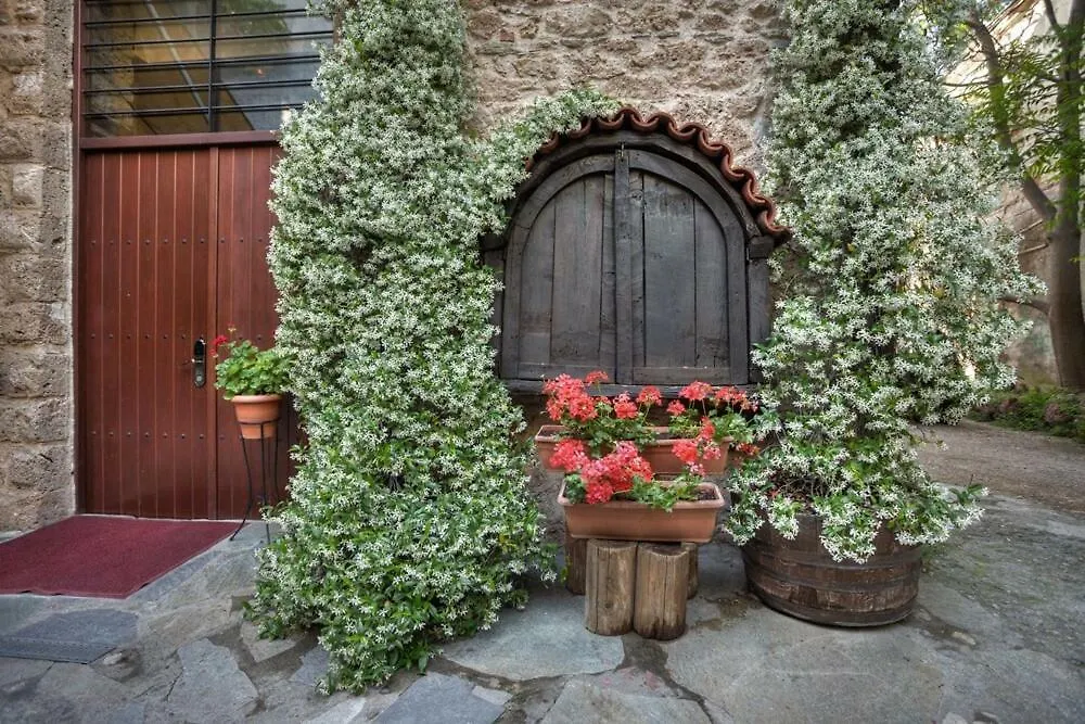 Boutique Hotel Palea Poli-1